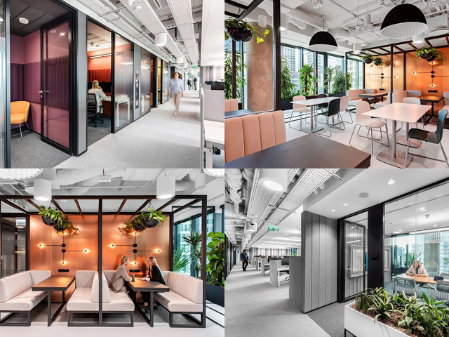 广州富二代成版人颤音app公司图册