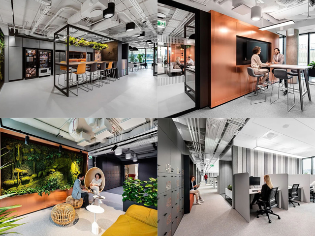 广州富二代成版人颤音app公司图册